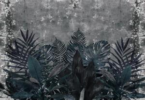 Foto tapeta - Biljke u mraku (147x102 cm)