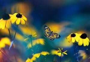 Foto tapeta - Žuto cvijeće s leptirom (147x102 cm)