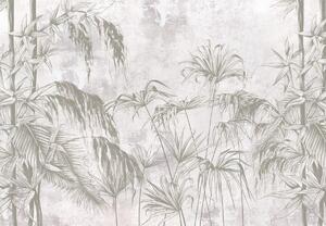 Foto tapeta - Tropske biljke (147x102 cm)
