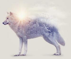 Foto tapeta - Arktički vuk uz divlji krajolik (147x102 cm)
