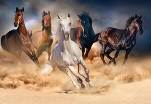 Foto tapeta - Konji u pustinji (147x102 cm)