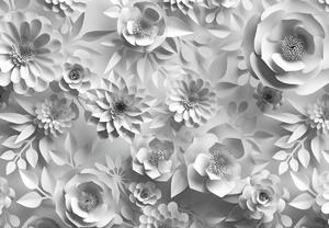 Foto tapeta - Bijelo cvijeće (147x102 cm)
