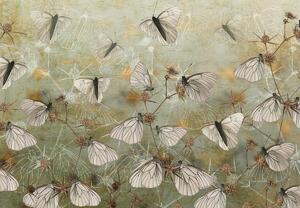 Foto tapeta - Vintage leptiri (147x102 cm)