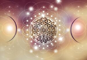 Foto tapeta - Mandala s elementima (147x102 cm)