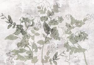 Foto tapeta - Biljke u žbuci (147x102 cm)