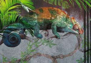 Foto tapeta - Kameleon (147x102 cm)