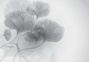 Foto tapeta - Apstraktno cvijeće (147x102 cm)
