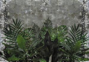 Foto tapeta - Betonski zid s biljkama (147x102 cm)