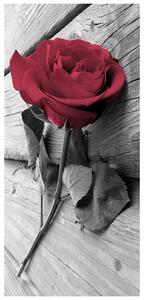 Foto tapeta za vrata - Crvena ruža (95x205cm)