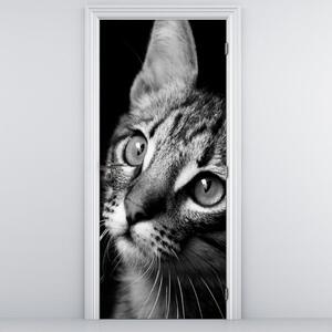 Foto tapeta za vrata - Mačka (95x205cm)