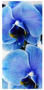 Foto tapeta za vrata - Plavi cvijet (95x205cm)
