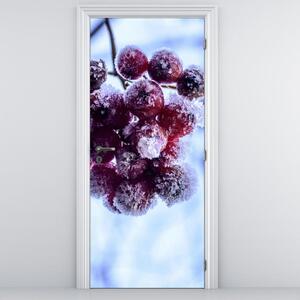 Foto tapeta za vrata - Smrznuto voće (95x205cm)