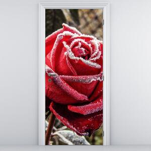 Foto tapeta za vrata - Smrznuta crvena ruža (95x205cm)