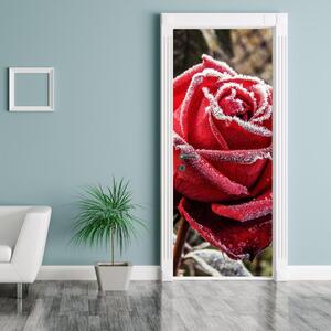 Foto tapeta za vrata - Smrznuta crvena ruža (95x205cm)