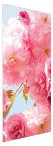 Foto tapeta za vrata - Ružičasti cvijetovi (95x205cm)