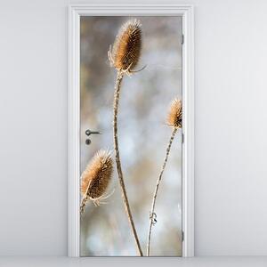 Foto tapeta za vrata - suho divlje cvijeće (95x205cm)