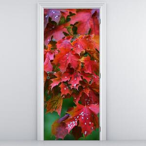 Foto tapeta za vrata - jesensko lišće (95x205cm)