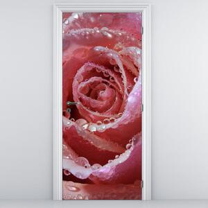 Foto tapeta za vrata - cvijet ruže (95x205cm)