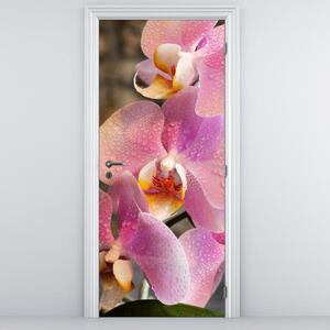 Foto tapeta za vrata - orhideja (95x205cm)