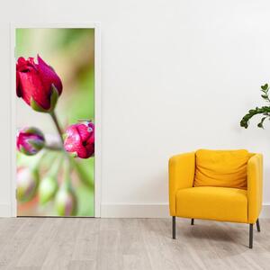 Foto tapeta za vrata - cvijet ruže (95x205cm)
