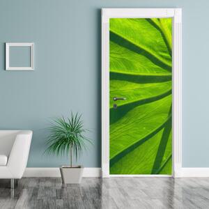 Foto tapeta za vrata - zeleni listovi (95x205cm)