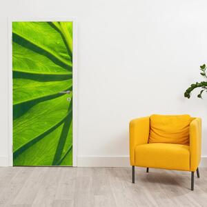Foto tapeta za vrata - zeleni listovi (95x205cm)