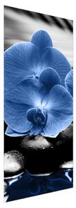 Foto tapeta za vrata - plavi cvijetovi (95x205cm)