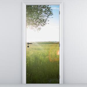 Foto tapeta za vrata - Ljetna livada (95x205cm)