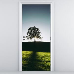 Foto tapeta za vrata - Drvo (95x205cm)