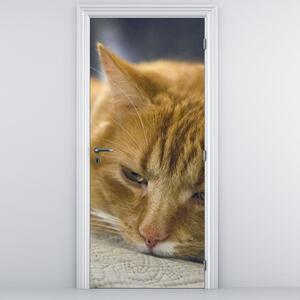 Foto tapeta za vrata - Mačke (95x205cm)