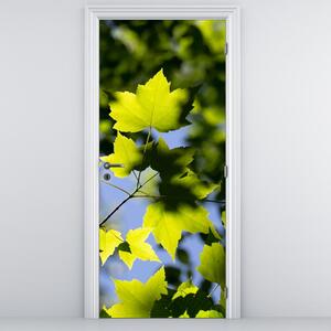 Foto tapeta za vrata - Javorovo lišće (95x205cm)