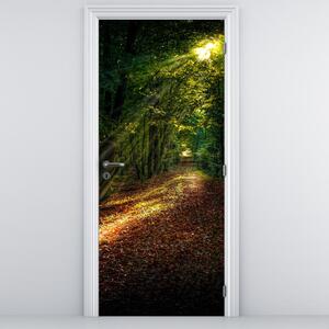 Foto tapeta za vrata - Šumska cesta (95x205cm)