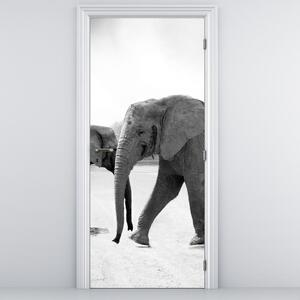 Foto tapeta za vrata - Crno-bijeli slonovi (95x205cm)
