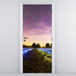 Foto tapeta za vrata - Šareno polje (95x205cm)