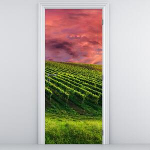 Foto tapeta za vrata - Vinograd sa šarenim nebom (95x205cm)