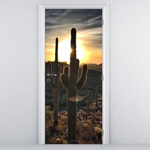 Foto tapeta za vrata - Kaktusi na suncu (95x205cm)