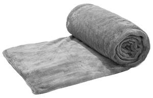 Svijetlo siva deka od mikropliša VIOLET, 170x200 cm
