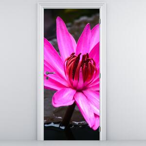 Foto tapeta za vrata - Ružičasti cvijet (95x205cm)