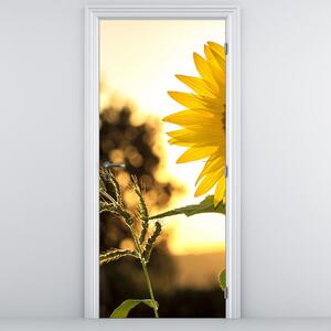 Foto tapeta za vrata - Suncokret (95x205cm)