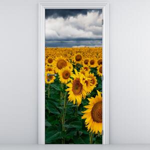 Foto tapeta za vrata - Polje suncokreta (95x205cm)