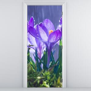 Foto tapeta za vrata - Cvijeće na kiši (95x205cm)