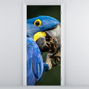 Foto tapeta za vrata - Papagaj (95x205cm)
