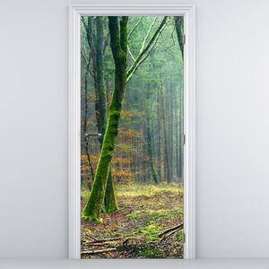 Foto tapeta za vrata - Šuma (95x205cm)