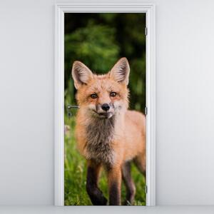 Foto tapeta za vrata - Lisica (95x205cm)