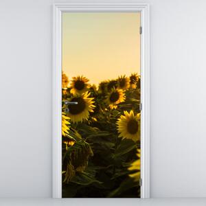 Foto tapeta za vrata - Polje suncokreta (95x205cm)
