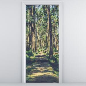 Foto tapeta za vrata - Put između stabala (95x205cm)