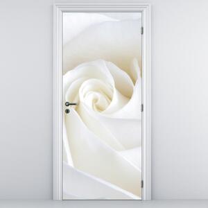 Foto tapeta za vrata - Bijela ruža (95x205cm)