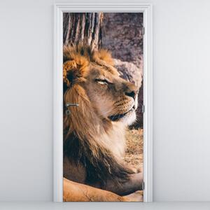 Foto tapeta za vrata - Ležeći lav (95x205cm)