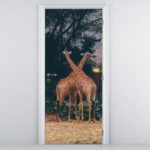 Foto tapeta za vrata - Dvije žirafe (95x205cm)