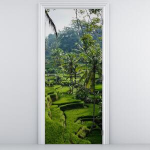Foto tapeta za vrata - Rižine terase Tegalalang (95x205cm)